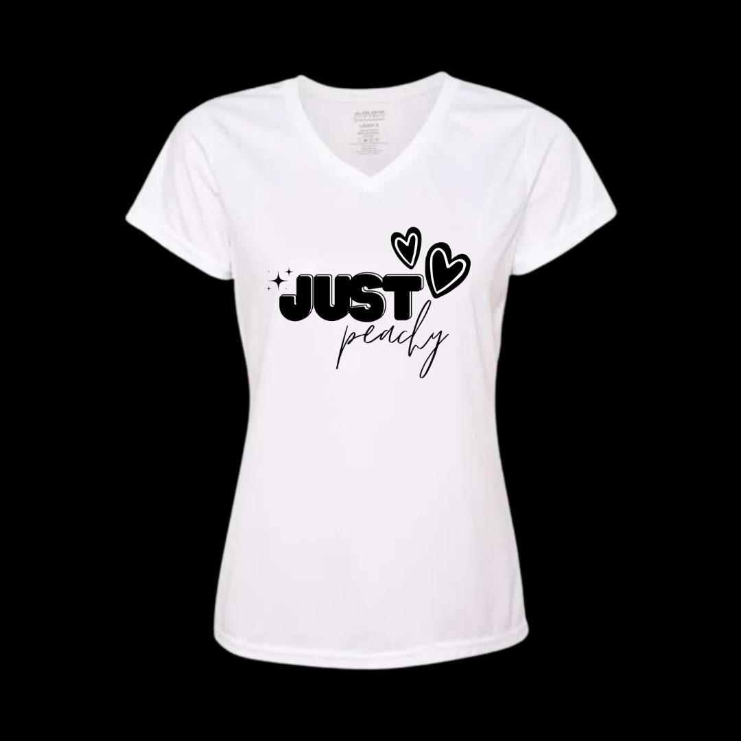 CAMISA DRY FIT CUELLO V